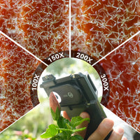 APEXEL 300X Smartphone Microscope 手機顯微鏡鏡頭 APL-MS300